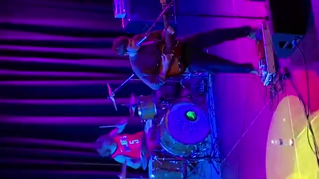 Flycatcher - Torn