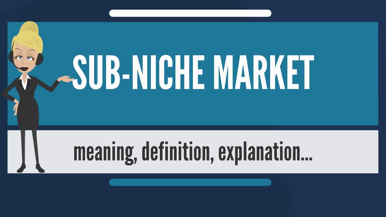 What is SUB-NICHE MARKET?