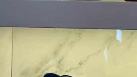 Nike Air jordan shoes