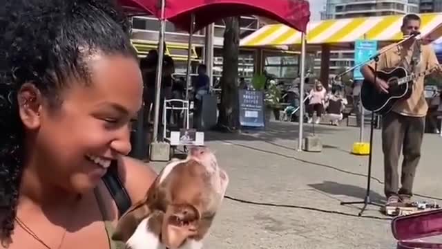 Dog singing along to the guitar