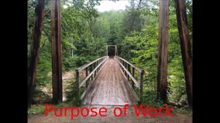 The Purpose of Work