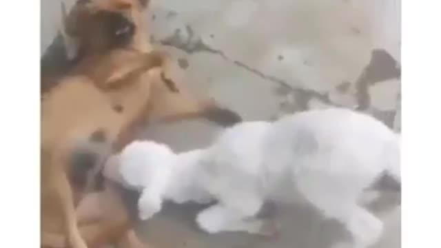 shot on iphone meme part-1