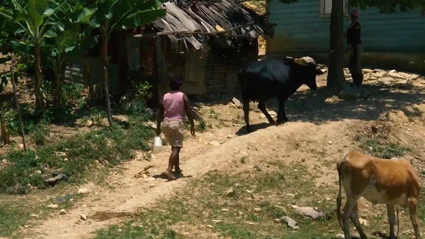 Los campos de República Dominicana