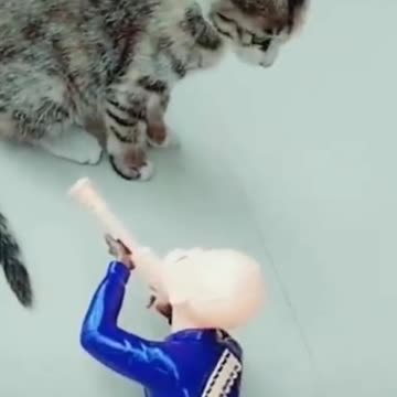 Cutest Try not to Laugh Kittens & Pups-2