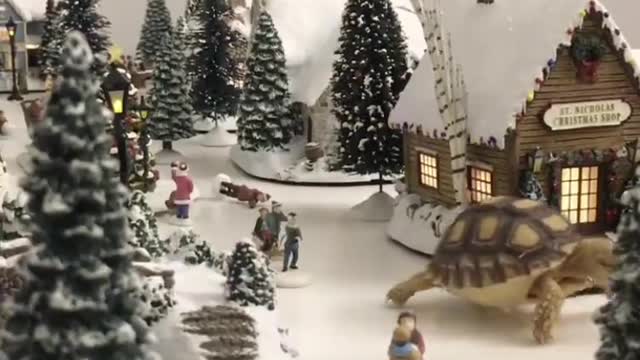 Tortoise Walking Through a Winter Wonderland