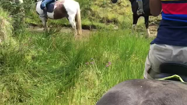 Horse riding at lake District