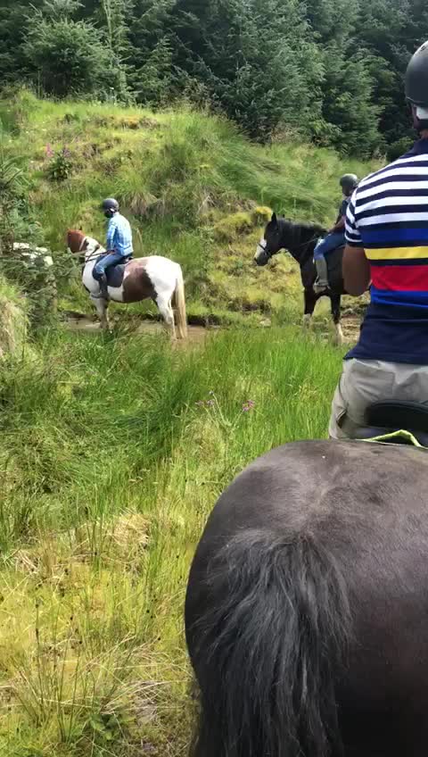 Horse riding at lake District