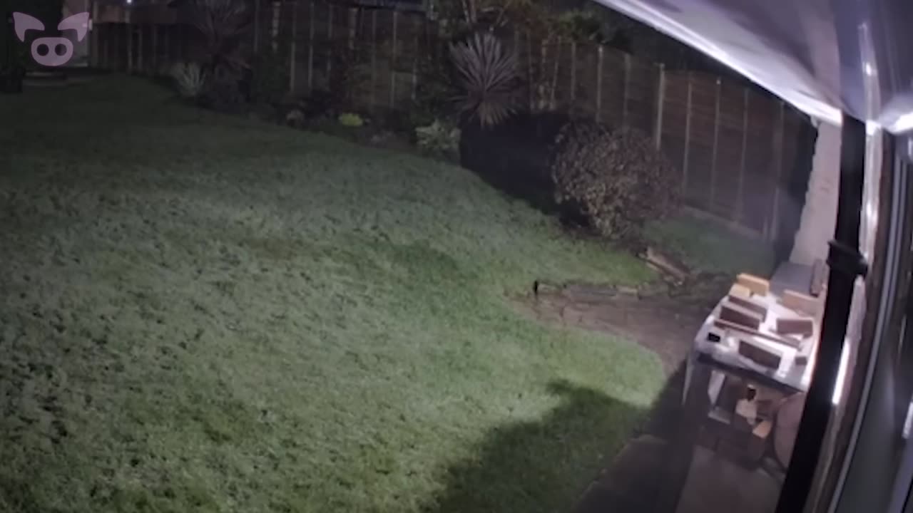 Real Creepy Sightings Caught on Camera