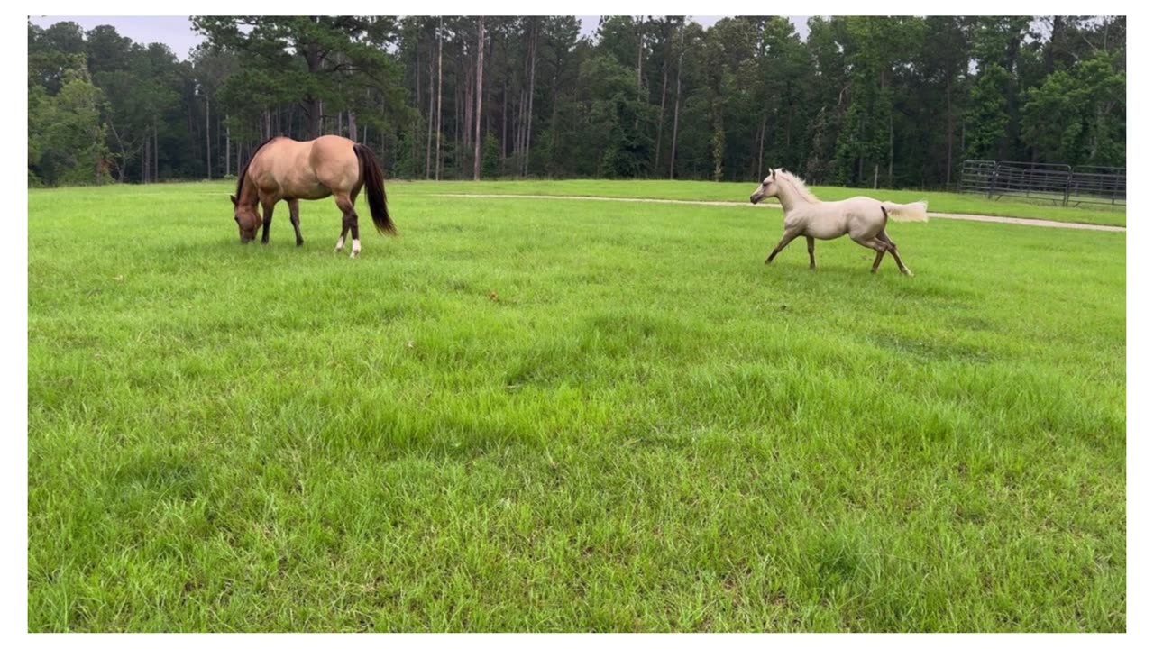 Country life. When you follow a dream.