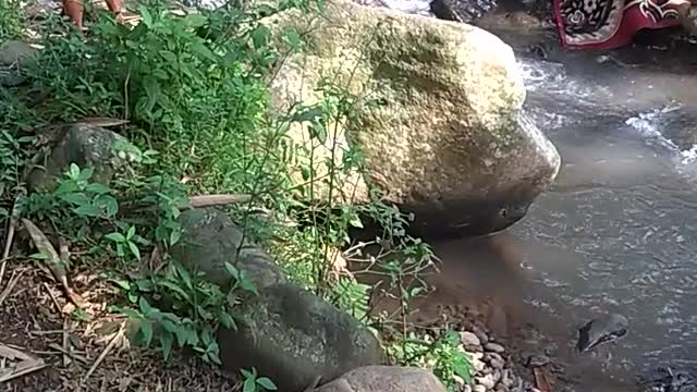 Washing Clothes in the River Together