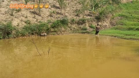fishy canyon ponds