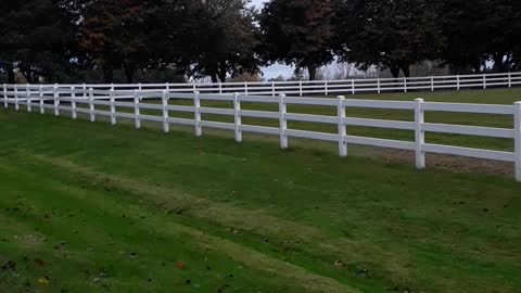 We at the Mordecai and Esther Foundation love to give. 10/16/22