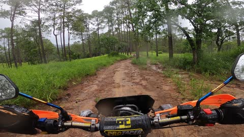 Riding a motorcycle in the forest