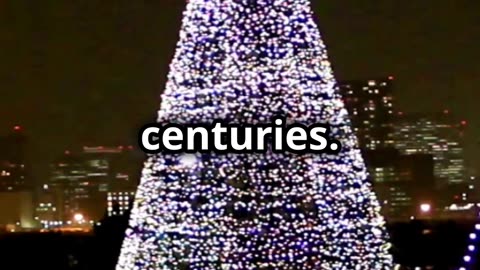 The Christmas tree is a cherished symbol of the holiday season