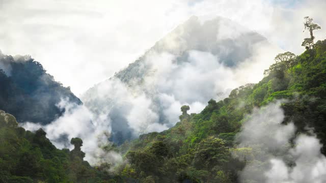 Lion Trapped by Hyenas (Full Clip) | 4K UHD | Dynasties | BBC Earth