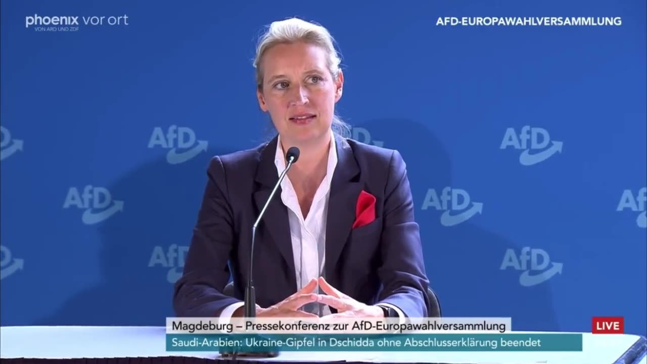 Alice Weidel über Ihre Ansicht zur EU