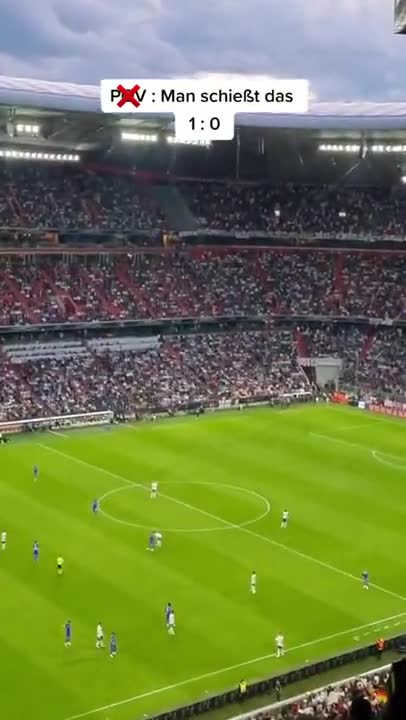 Flew clearly into the target