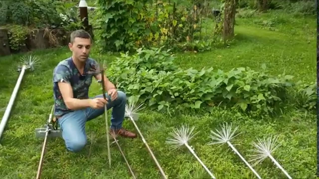 interesting information