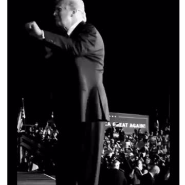 Scavino Truth - What Separates The Winners From The Losers?