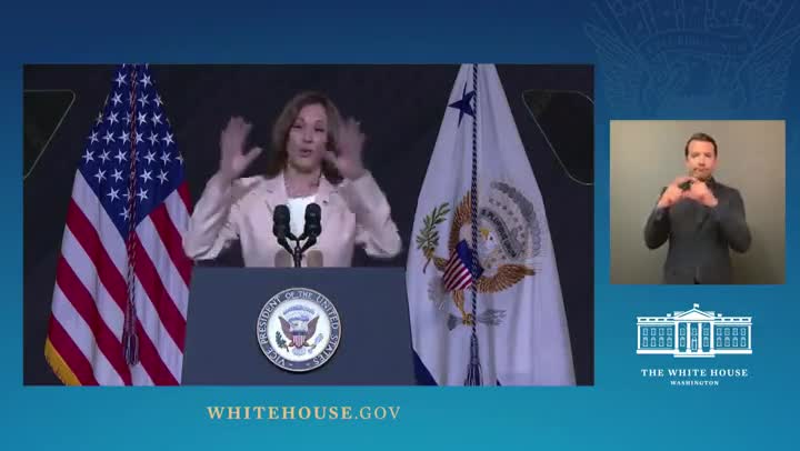 Kamala Feels The Need To Explain Venn Diagrams To The American Public