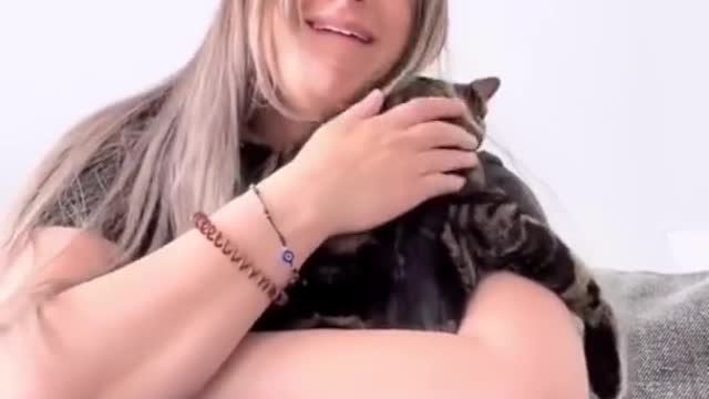 Cute and Funny Cat Videos to Keep You Smiling! 🐱