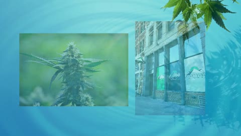 Recreational Cannabis