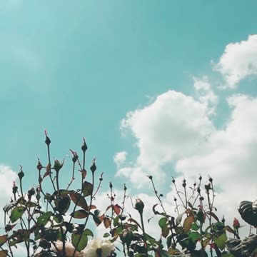 Guided Meditation for Positive Energy and Vibrant Living 💫 #meditation #positivity #shorts