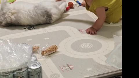 Baby and cute cat playing🥰🥰🥰