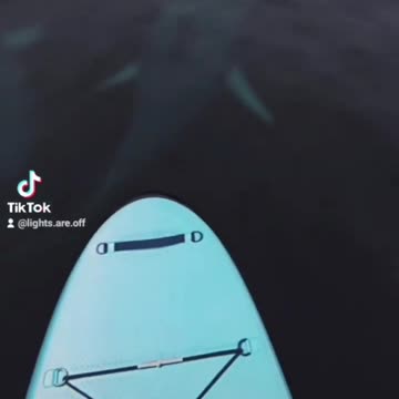 Chose the wrong day to go paddle boarding