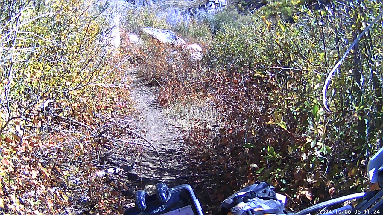10-06-24 Upper Sheep Creek part 3