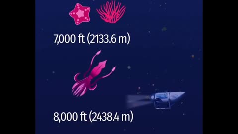 Sea underneath history