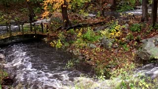 Nor'easter Rains Down On Small Connecticut Stream