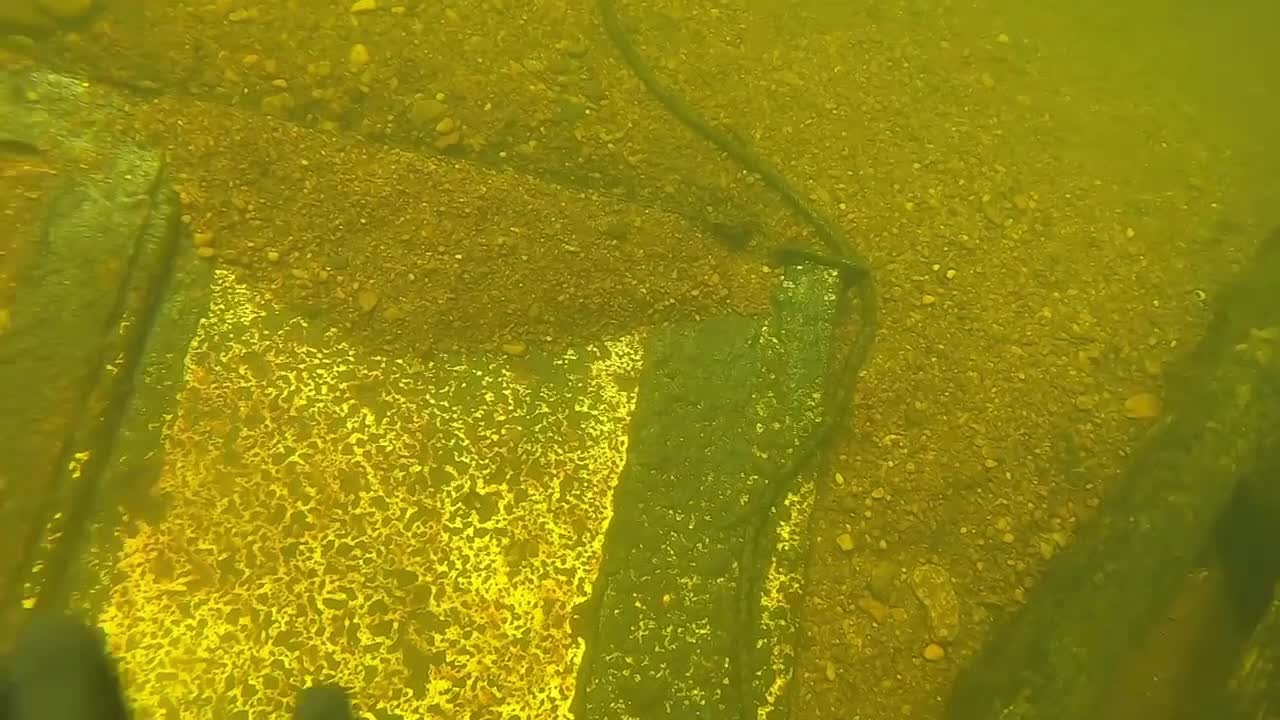 How the hell did these things get into the river?