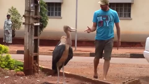 Instant Karma Caught On Camera