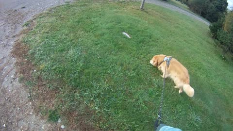 October 1st, 48º back in Maine