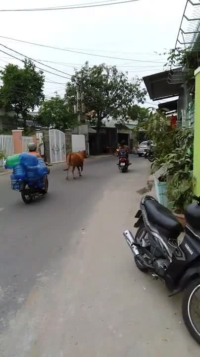 Road traffic of people and crawling together
