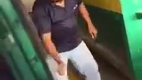 Malaysian Drake
