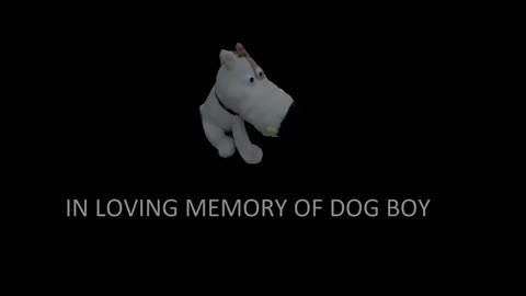 IN LOVING MEMORY OF DOG BOY