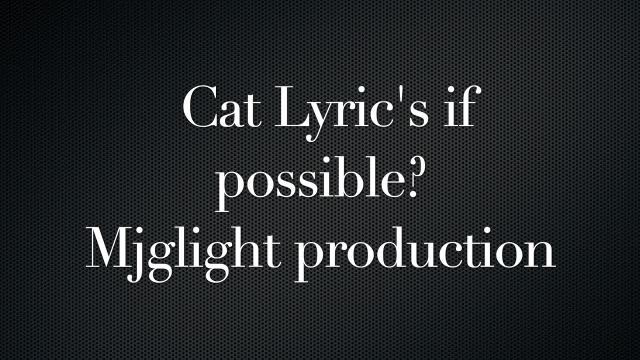 Cat Lyric