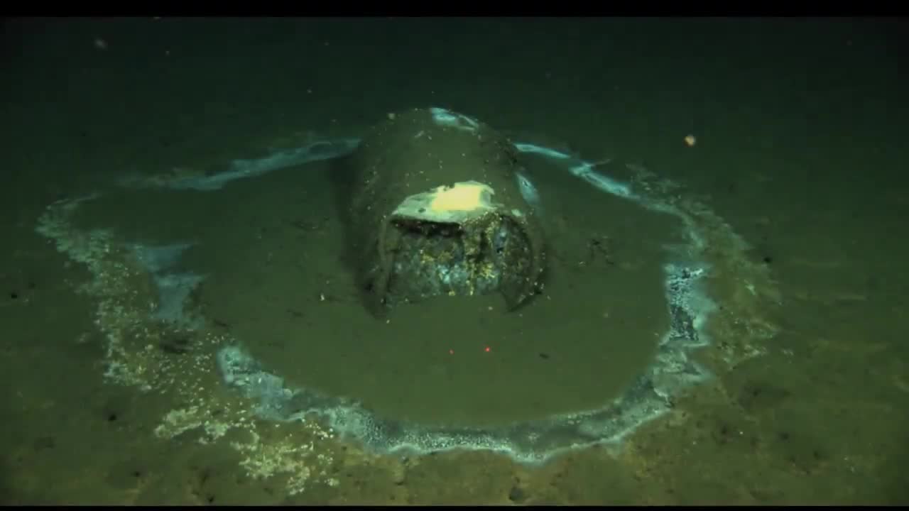 Must Watch! Football Fish found in California.