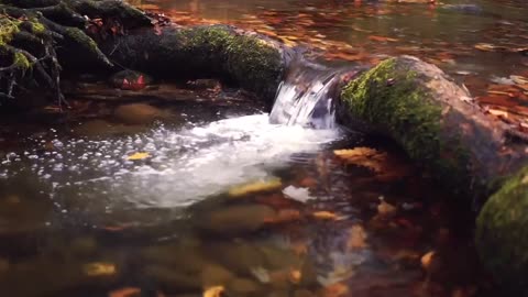 下雨声