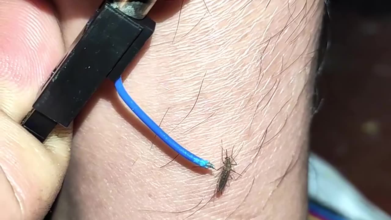 How to Burn the mosquito 🦟🦗 🤣🤣 viral videos