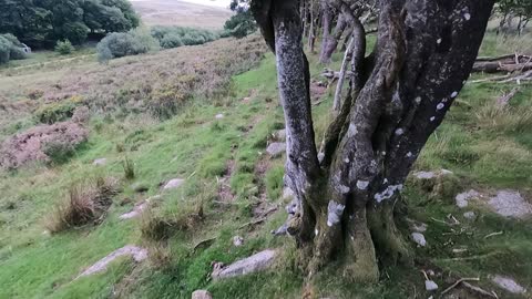 Hiking In Dartmoor