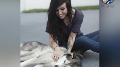 Celebrities with Siberain Husky