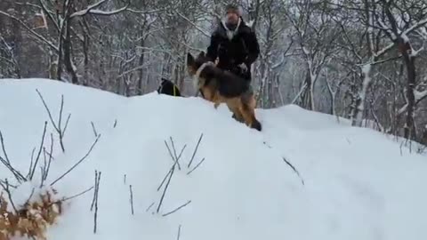 jean francois gagnon lovaganza.