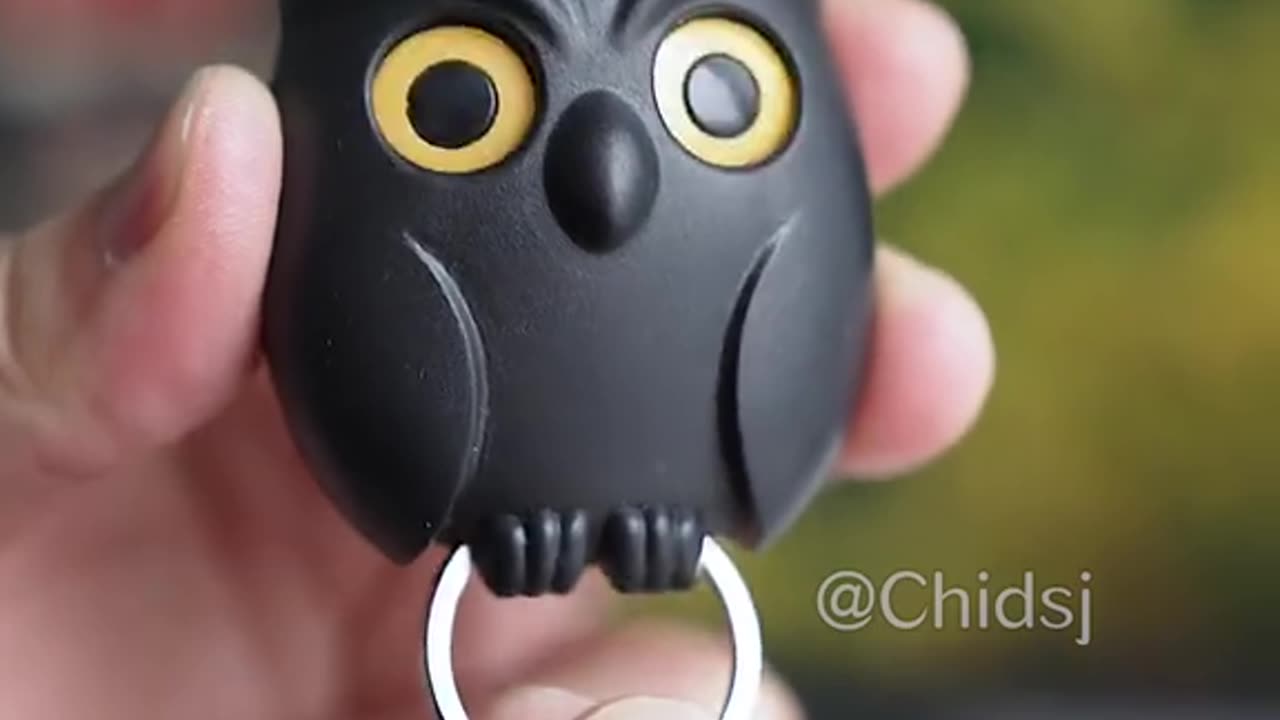 Spooky owl key holder