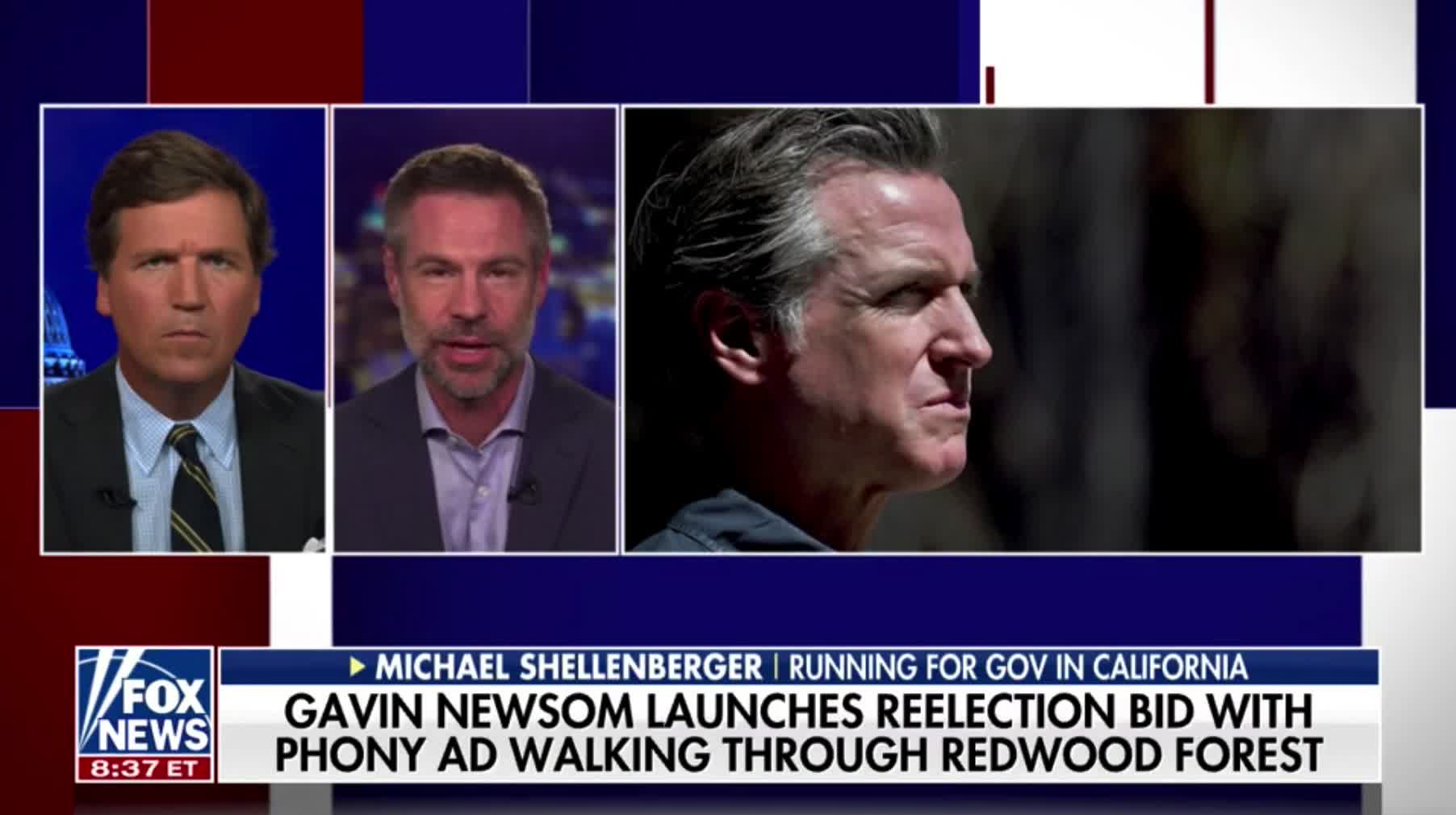 Michael Shellenberger blasts Gavin Newsom's environmental record