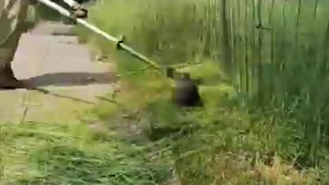 Lawn mowing satisfying