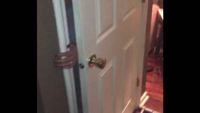 Dog Knocks Gate Over And Traps His Owner In The Closet