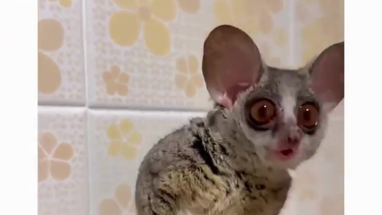 WHEN I SUDDENLY SMELL MY FAVORITE TEA